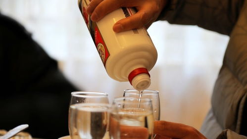 喝白酒有益健康吗，喝白酒有益吗