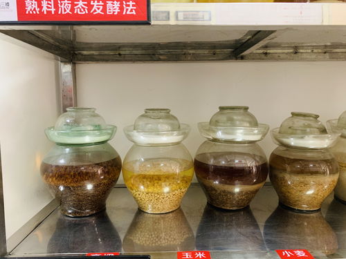 白酒发酵方式有几种，白酒发酵方式 大 小