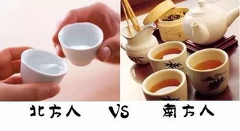 南方人可以吃白酒吗为什么，南方人能喝酒吗