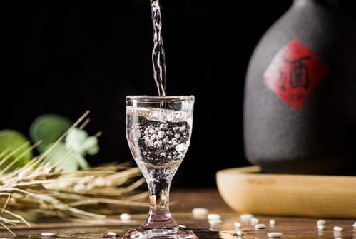 温州人喝白酒吗，温州喝酒的地方