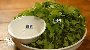 草头用什么白酒好，草头用白酒还是黄酒