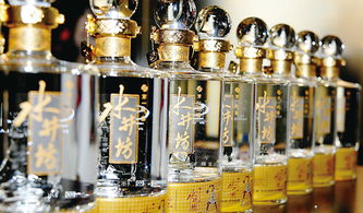 水井坊属于几线白酒，水井坊在白酒中的地位