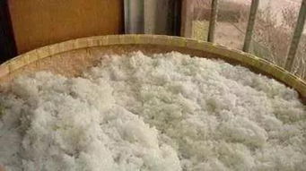 白酒生料发酵技术视频，白酒生料发酵长毛了