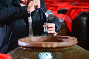 文松小雅酒多少钱一瓶，文松酒业