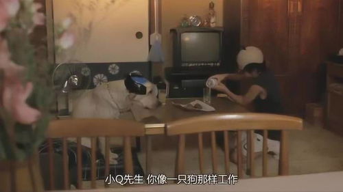熊爸熊孩子酒会，给狗喂白酒会怎么样
