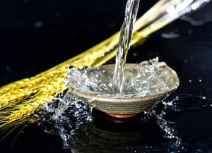 白酒光合作用原理，光合作用实验酒精的作用