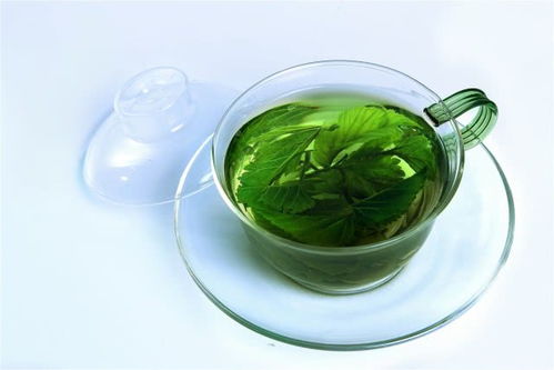 桑叶加白酒治便秘吗怎么喝，桑叶泡儿加酒能治什么?