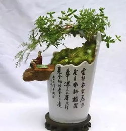 白酒瓶花盆图片欣赏大全，白酒瓶子怎么做花瓶