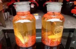 常德哪款白酒带蜂蜜味的，湖南常德什么酒有名