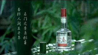 关于白酒废水的介绍词语，白酒废水处理方案