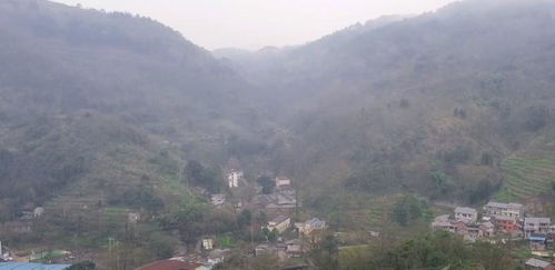 阜新市关山沟白酒专卖店，阜新关山沟在哪