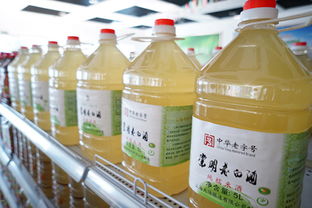 崇明非遗文化，崇明老白酒口感如何