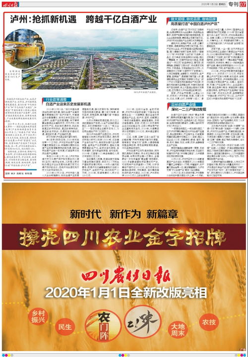 泸州白酒企业的劣势是什么呢，泸州市酒业发展现状