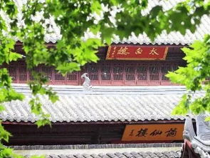 采石矶酒内部专用价格，采石矶42度浓香型白酒价格