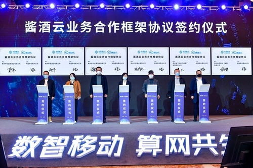 与移动公司合作的方案