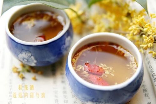 构杞可以泡酒喝吗，枸杞可以泡酒喝吗有什么好处