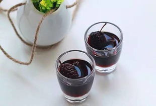 泡桑葚酒的方法，泡桑葚酒不能用什么白酒代替
