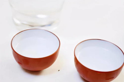 减肥喝点白酒可以吗，减肥期间喝点白酒可以吗