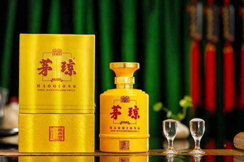 国奥集团简介，国奥集团属于什么公司
