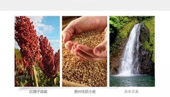 白酒里为什么有玉米香味，为什么玉米有酒味