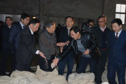 馥郁香型白酒排名，馥郁香型白酒的发展历程简述