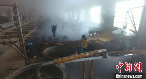关于白酒工业术语大全及解释，《白酒工业术语》