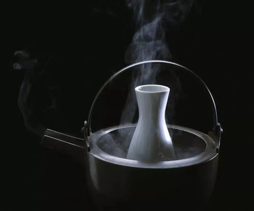 过滤白酒介质有几种方法，白酒介质过滤器