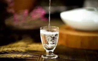 喝白酒的小杯子叫什么，喝白酒的小杯子多少毫升