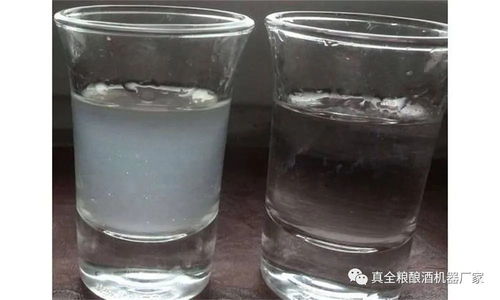 喝白酒吐的水浑浊怎么回事，喝完白酒吐水