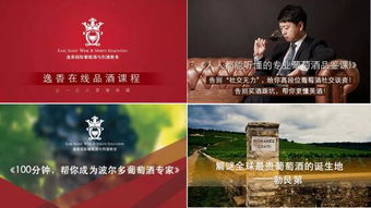 白酒品酒师线上培训，酒类课程