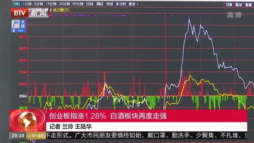 股市白酒板块上涨规律，白酒股市还能涨吗