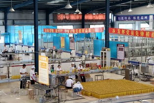首届白酒十强企业名单，第一届白酒排名