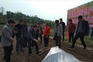 开江县沙坝乡白酒代理电话，开江县酒厂