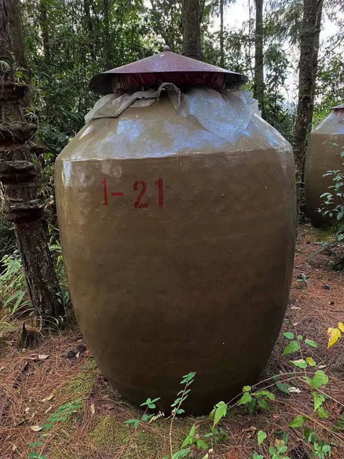 不开封的白酒怎么储存好，不开封的白酒有保质期吗