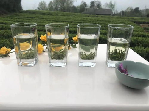 白酒一杯诗句，一杯酒百篇诗
