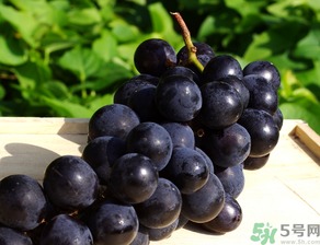 巨峰葡萄可以酿酒吗?，巨峰葡萄酿酒的好处