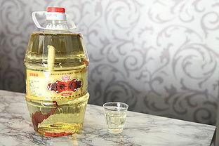 白酒加盟加盟，白酒加盟代理连锁