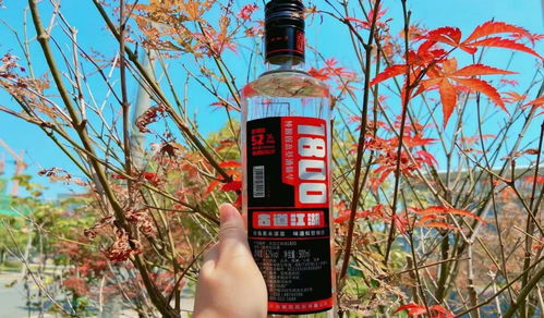 白酒 原料，白酒原料和配料区别
