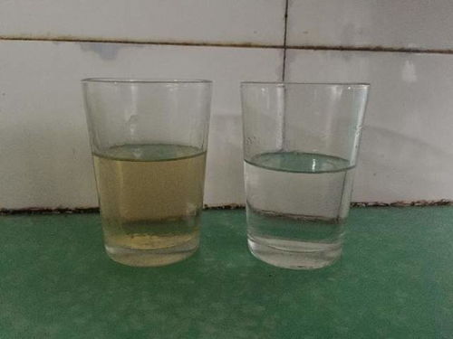 喝两口白酒多少钱一瓶正常，喝两口白酒的价格