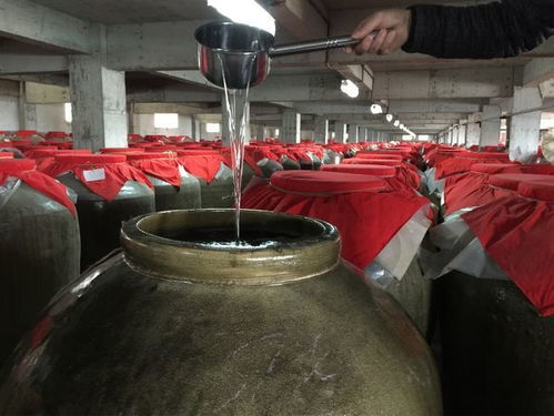 青红酒和白酒的区别，青酒红52度 红色经典