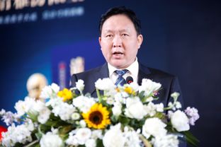 白酒行业财务表态发言稿，白酒企业开会