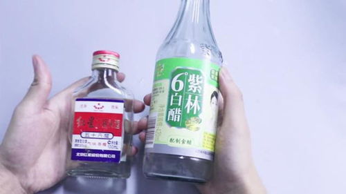 食醋白酒治荨麻疹吗，食醋加白酒的用途