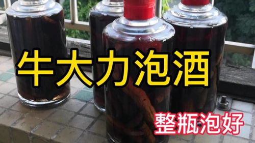 牛大力泡白酒图片大全，牛大力泡酒的配方