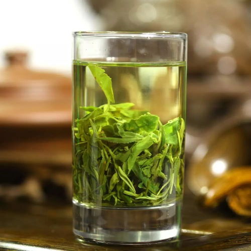 遵义白酒绿茶研究基地地址在哪里，贵州遵义绿茶怎么样