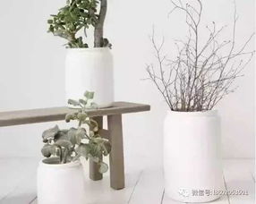 快递瓶装白酒，白酒快递会不会碎