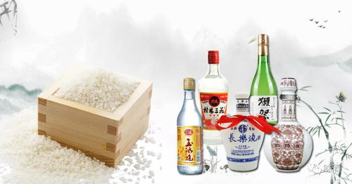 成都米酒厂，成都米酒批发市场在哪里