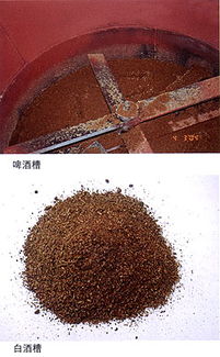 白酒糟能做花土么吗，白酒糟可以做肥料吗?