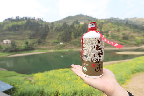 泸型白酒风味物质有哪些，泸型酒酿造工艺
