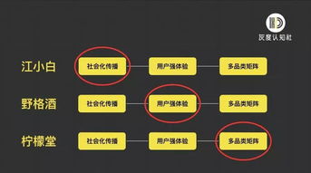 白酒品牌营销推广价格策略研究，白酒品牌营销的优秀案例