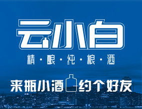 华润集团山东白酒事业部总经理，华润集团山东区域总部